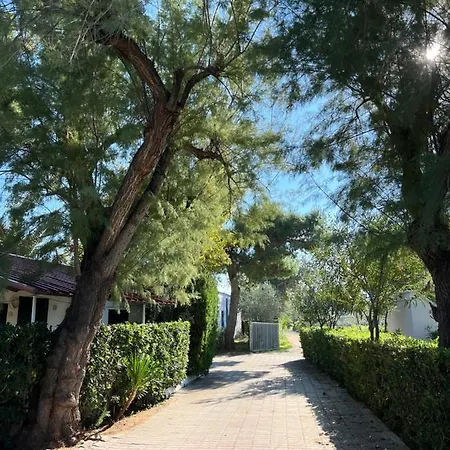 פארק נופש Villaggio Almar ויאסטה